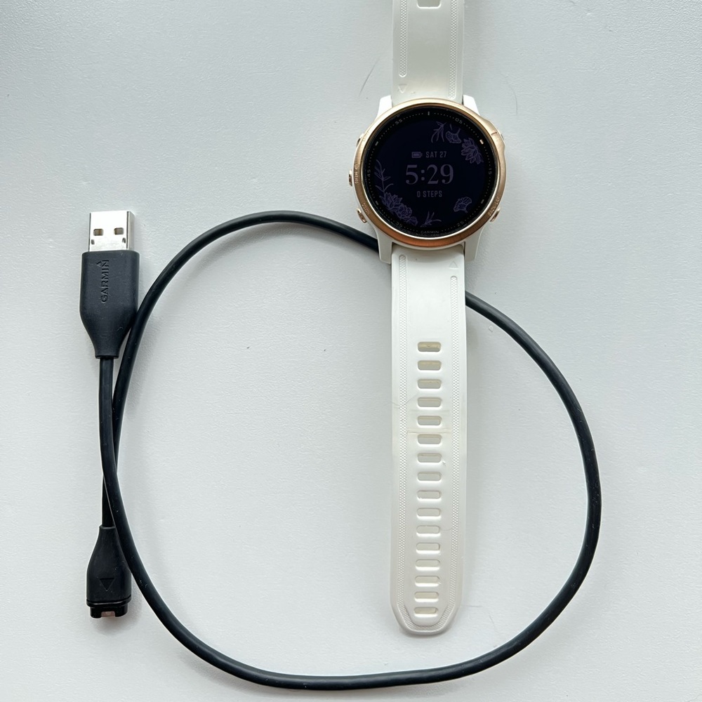 Garmin Felix 6S Pro Smart Watch